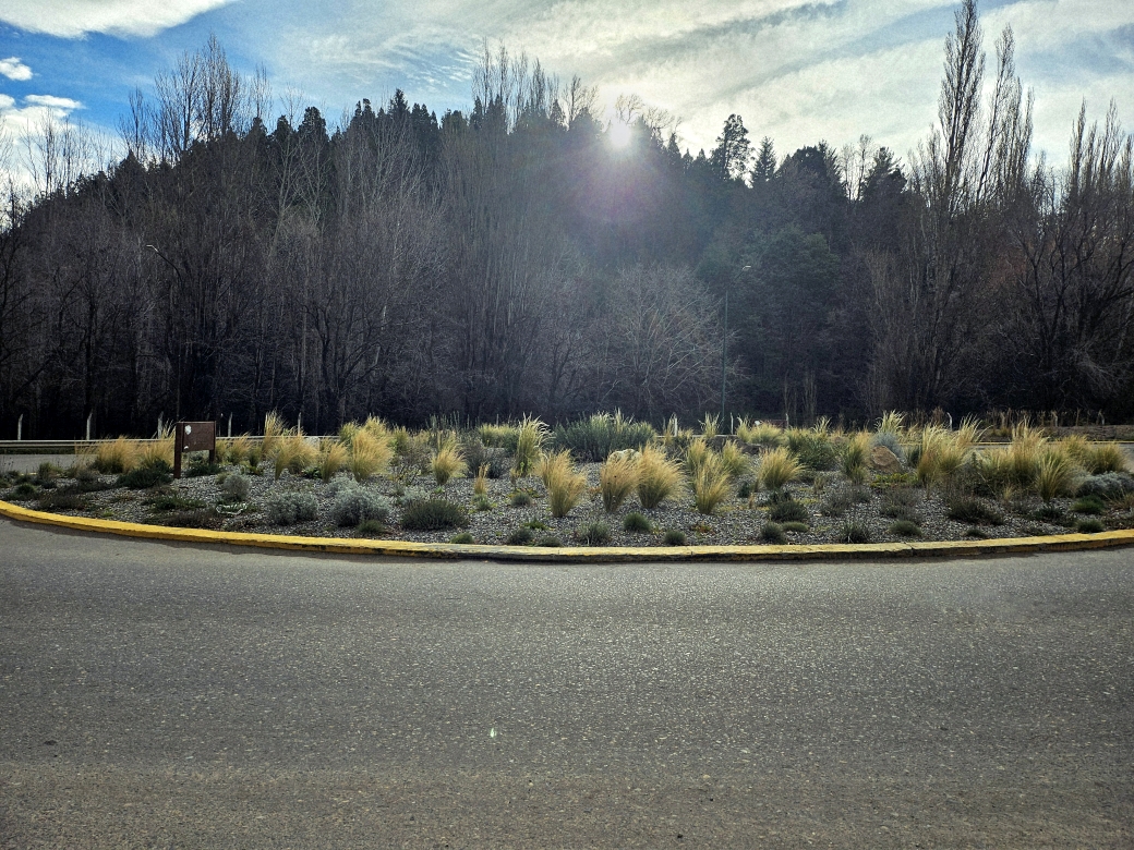 Planificación y Diseño del Paisaje en Espacio Público San Martín de los Andes