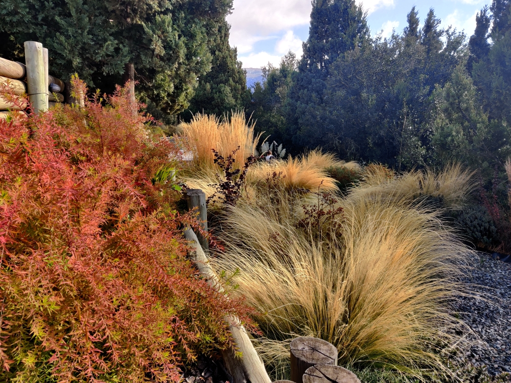 Spiraea thumbergii, Berberis, Hebe gemend, Stipas - Jardín Patagónico - San Martín de los Andes
